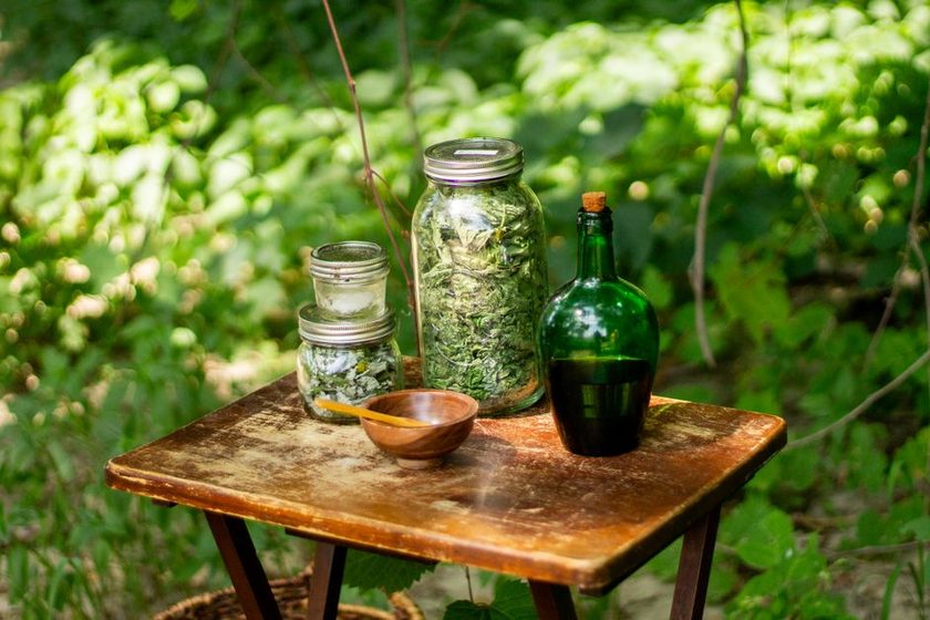 Dried herbs and leaves laid out beside a mortar and pestle on wood